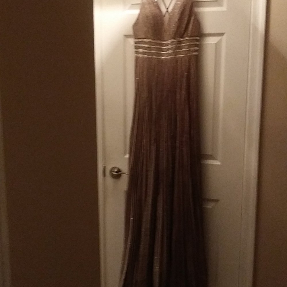 Cinderella Divine Dress Size8 Rosewood